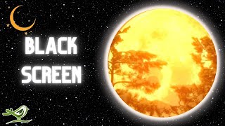 [NO ADS] Spirit | Ethereal Sleep Music with Black Screen by Peder B. Helland