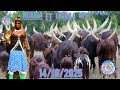 NDAMA FT LUKILILA UJUMBE WA NDAMA JIGUSHILAGA MPYA 0682021746 14 10 2025 BY SHULE MSABAZAJI 