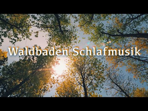 Forest Bathing Sleep Music | Deep Relaxation with Gentle Nature Sounds
