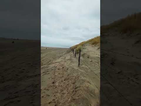 Noordwijk Beach in January