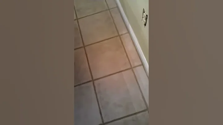 Lammest video ever