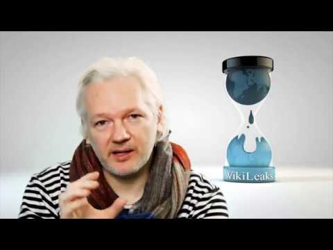 Julian Assange Reddit AMA  January 10th, 2017 - YouTube