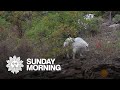 Nature: Black Hills of South Dakota