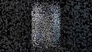 Gray Fullbuster #Shorts #FairyTail