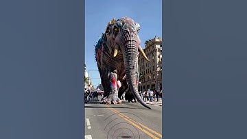 elephant Moonwalk AI generated short video