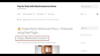 How to Protect Paid Content on Your WordPress Site Using a Free Plugins?