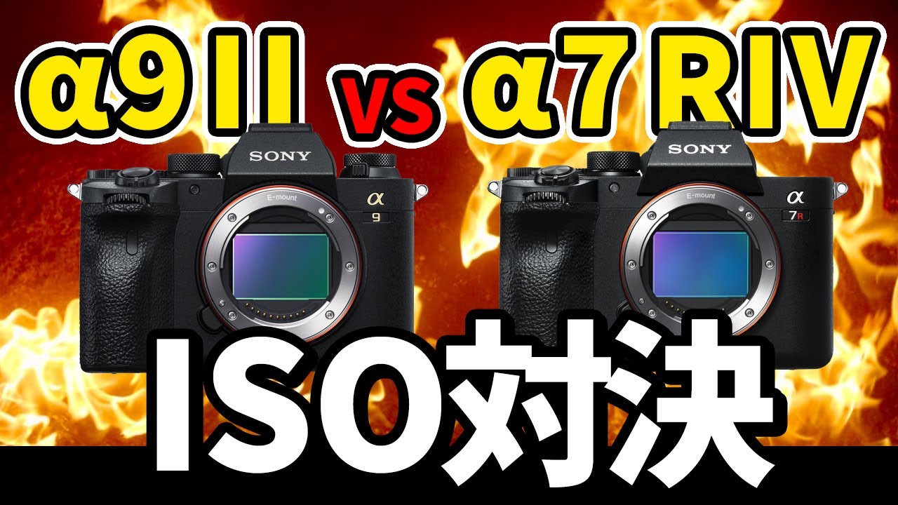 ISO対決】Sony α9II VS α7RIV ソニープロ機におけるノイズ処理の実力は