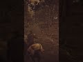 Rdr2 run to your holes