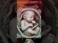 Week 10 Pregnancy: Baby Development & Changes Explained #FetalGrowth #pregnancy