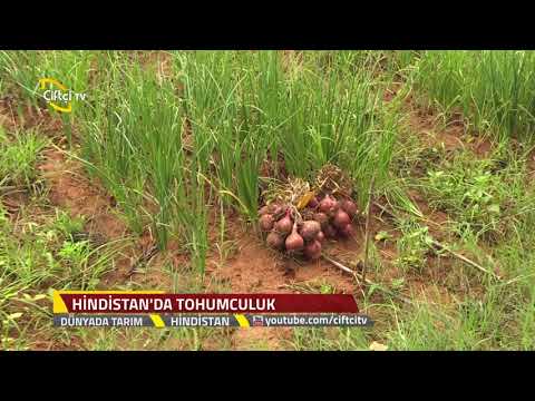 Video: Modern Çin tankları (fotoğraf). En iyi Çin tankı