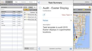 Retail audit software screenshot 1