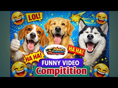 Competition Fun Video Funny Video Competition 😂 | না হাসলে এমবি ফেরত! 🔥 #funny #trendingvideo ...