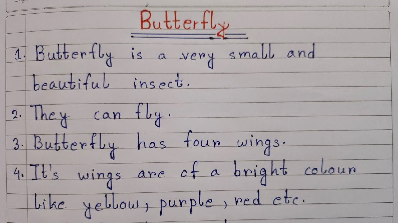 essay on butterfly for kids
