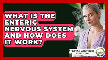 What Is The Enteric Nervous System And How Does It Work? - Functional and Integrative Wellness Guru