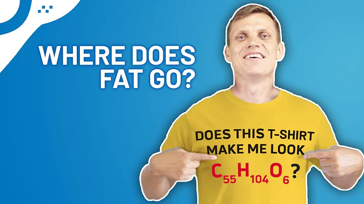 Where Does Fat Go When You Burn It? The Science Explained