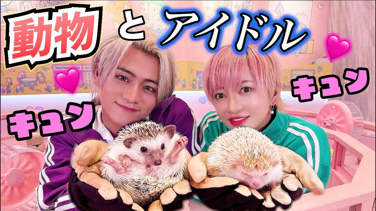 【かわいい動物と遊んでみた！】