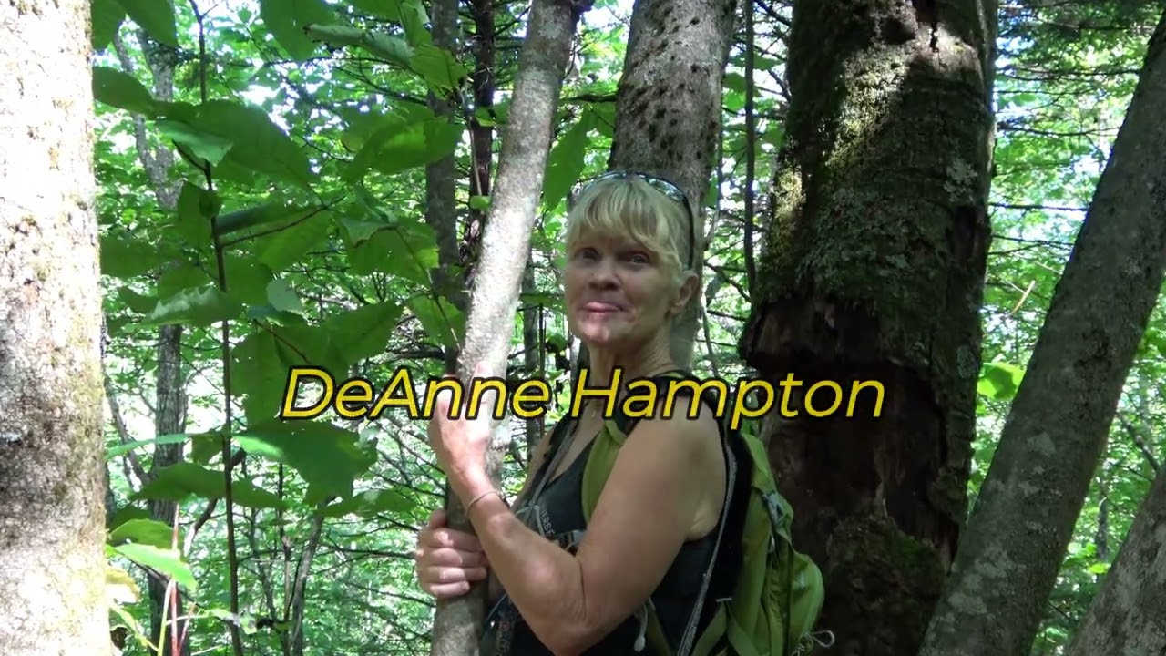 Cucumber Magnolia Vortex Tree - Feel the Energy