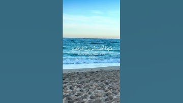 تلاوة من سورة البقرة للقارئ ياسر الدوسري #quran#حصن_المسلم#عاجل#راحة_نفسية#tilawat#تلاوة_خاشعة