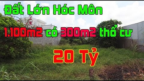 Bán 1.100m2 Đất Hóc Môn Xuân Thới Sơn SHR 20 Tỷ | Đất Lớn Hóc Môn