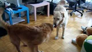 DSCF1402.MP4