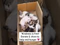 "Kindness is free! Donate & share to help end hunger 💖"