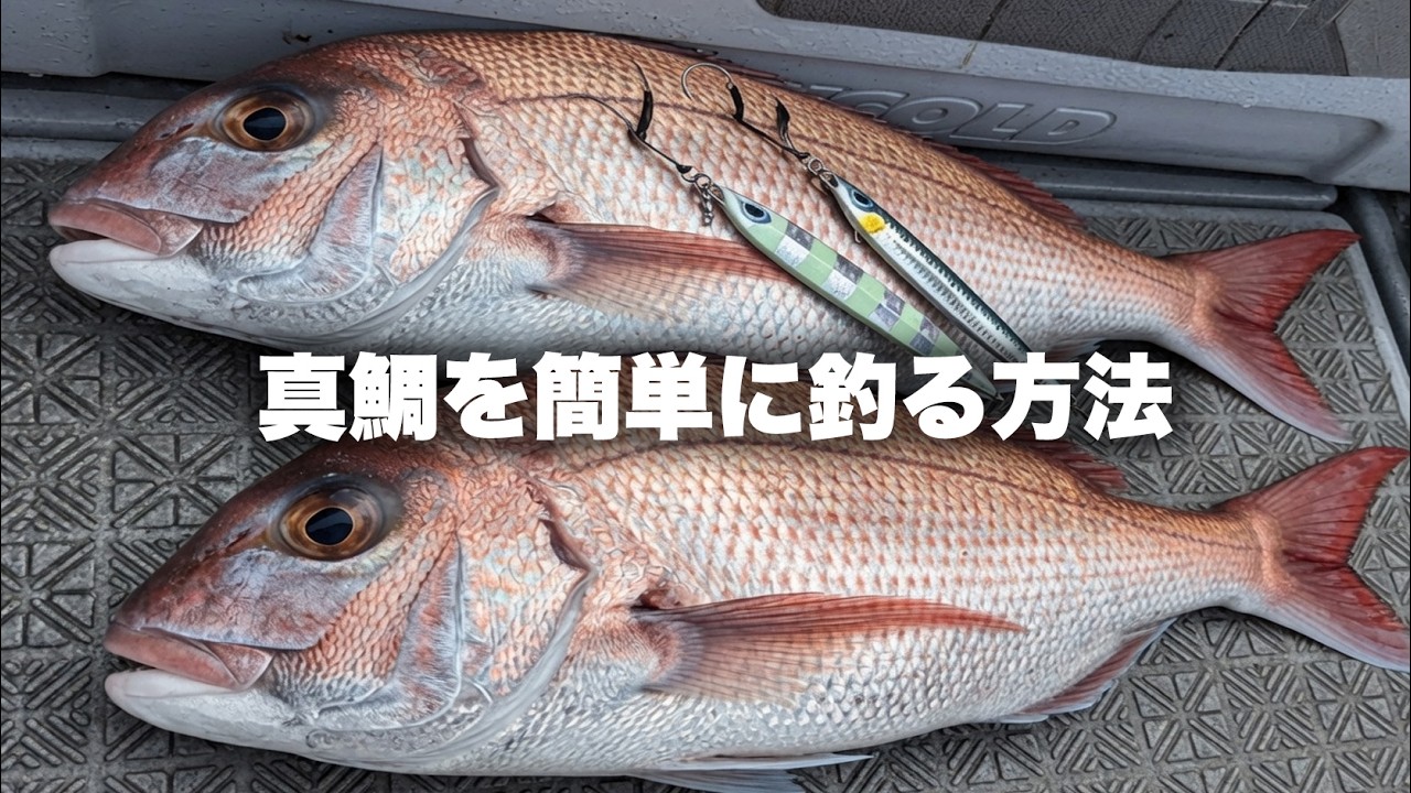 はる様 釣果お持ち込みです^ – ^ | フィッシングマックス 関西の釣果