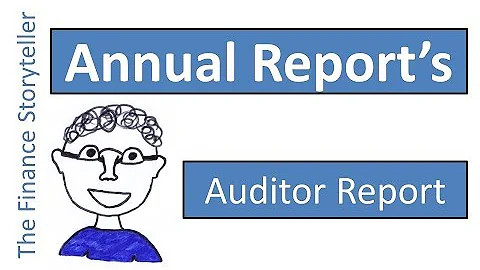 Auditor report in the annual report - DayDayNews