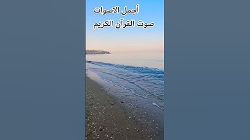 قران كريم🤲🌹 بصوت جميل للشيخ عبد الرحمن مسعد #المصحف #اكسبلور #راحة_نفسية #تصويري