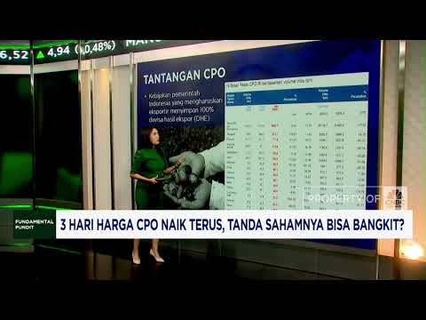 Harga CPO Naik, Saham CPO Berpeluang Rebound
