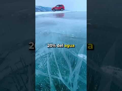 Vídeo: Baikal és la perla de Rússia. El Baikal és un llac d'aigües residuals o sense desguàs?