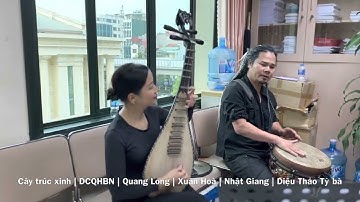 Cây trúc xinh | DCQHBN | Quang Long | Xuân Hoà | Nhật Giang | Diệu Thảo Tỳ bà