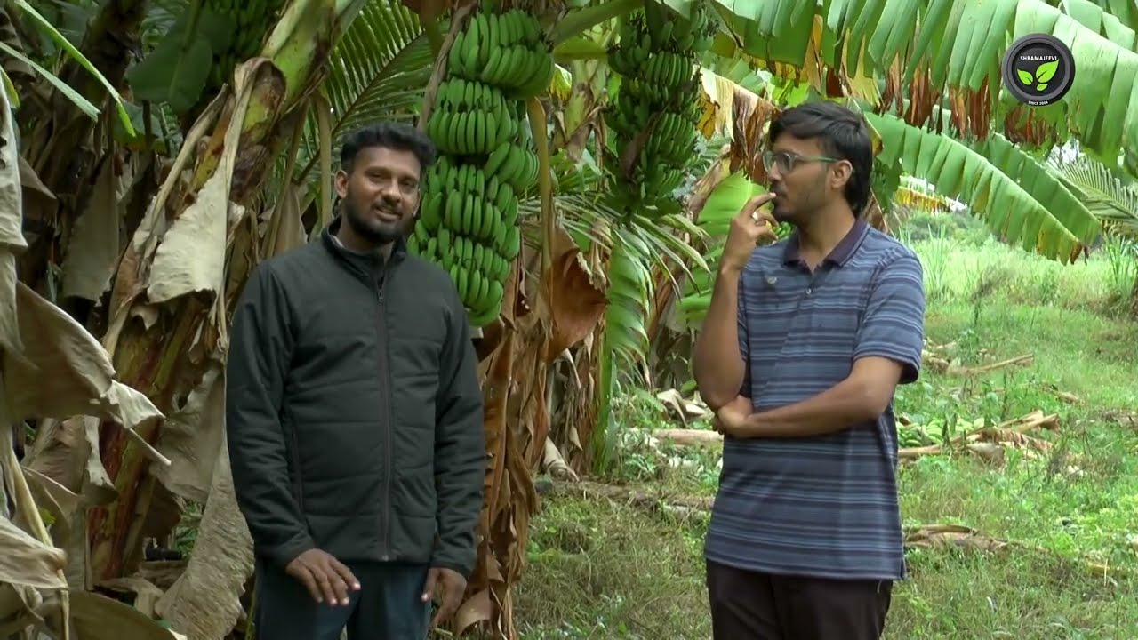 ವಿವಿಧ ಉದ್ದೇಶದ ಬಾಳೆ ಬೆಳೆದು ಈಗ ಜಿ-ನೇನ್ ತೋಟ - ಶ್ರೀ ವಿನಯ | G-9 Banana Cultivation | Leaf Farming