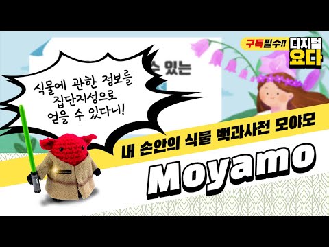 모야모 사용 및 활용법, how to use Moyamo