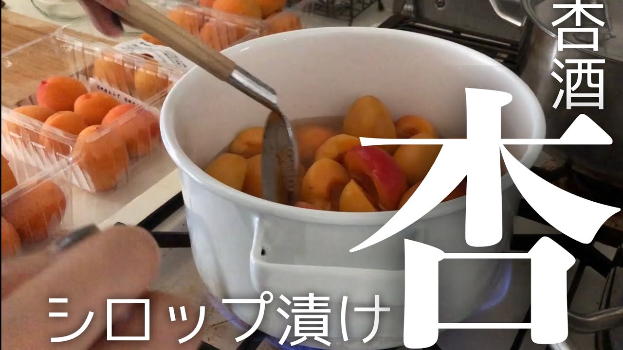 季節の料理】あんずシロップ漬け(杏のコンポート)と自家製杏酒の仕込み