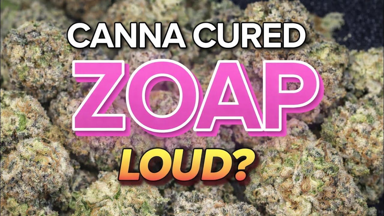 Zoap by Canna Cured Review 👀 Looks Crazy… But Is It Gas?