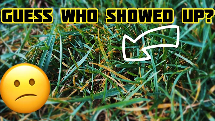 Ready or Not, It's Time To Apply The Fungicide!