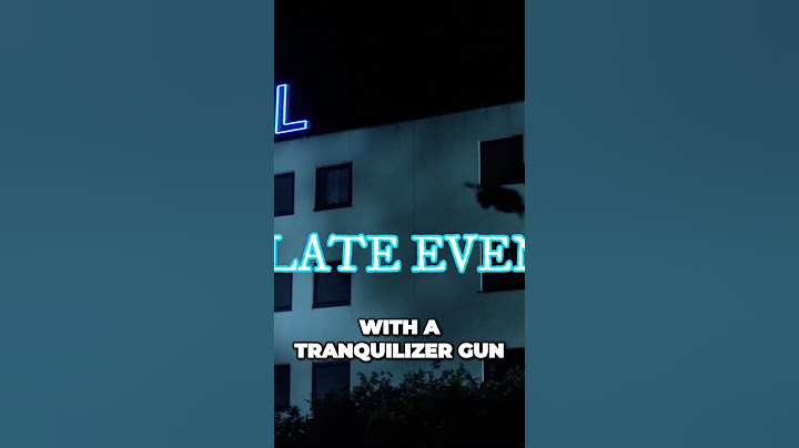 Lost in the Dark American Girls Mysterious Night Drive in Germany