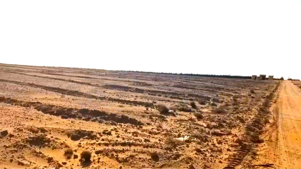 ارخص سعر مزرعة علي طريق مصر اسكندرية الصحراوي 60 فدان + تسهيلات