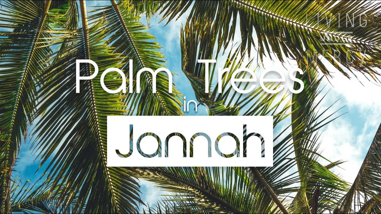 Palm trees in Jannah! Easy To Do نخلة في الجنة 👌🏻 YouTube