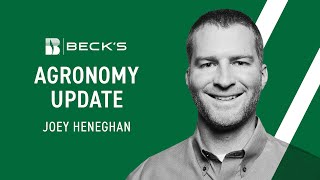 Wisconsin Wheat Update | Beck's Agronomy Update