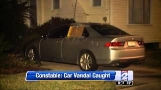 Harris County Pct. 1 Constable's Office - Car Vandal Caught