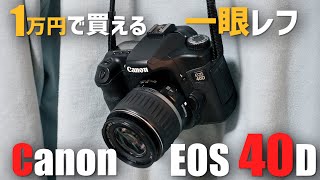 【作例あり】1万円で買える一眼レフ Canon EOS 40D 使い方や撮った写真を紹介！