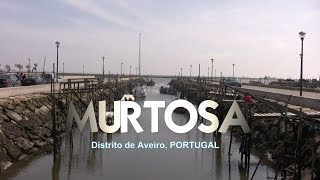 MURTOSA, Aveiro