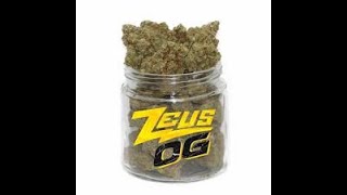 Zeus OG Outdoor Grow Part 3