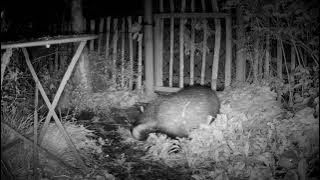 Next Door in the Night September 20th and 21st