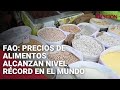 FAO: Precios de alimentos alcanzan nivel récord en el mundo debido a guerra en Ucrania