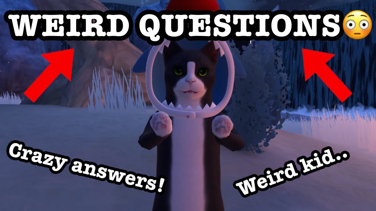 I Asked VRChat Players Weird Questions
