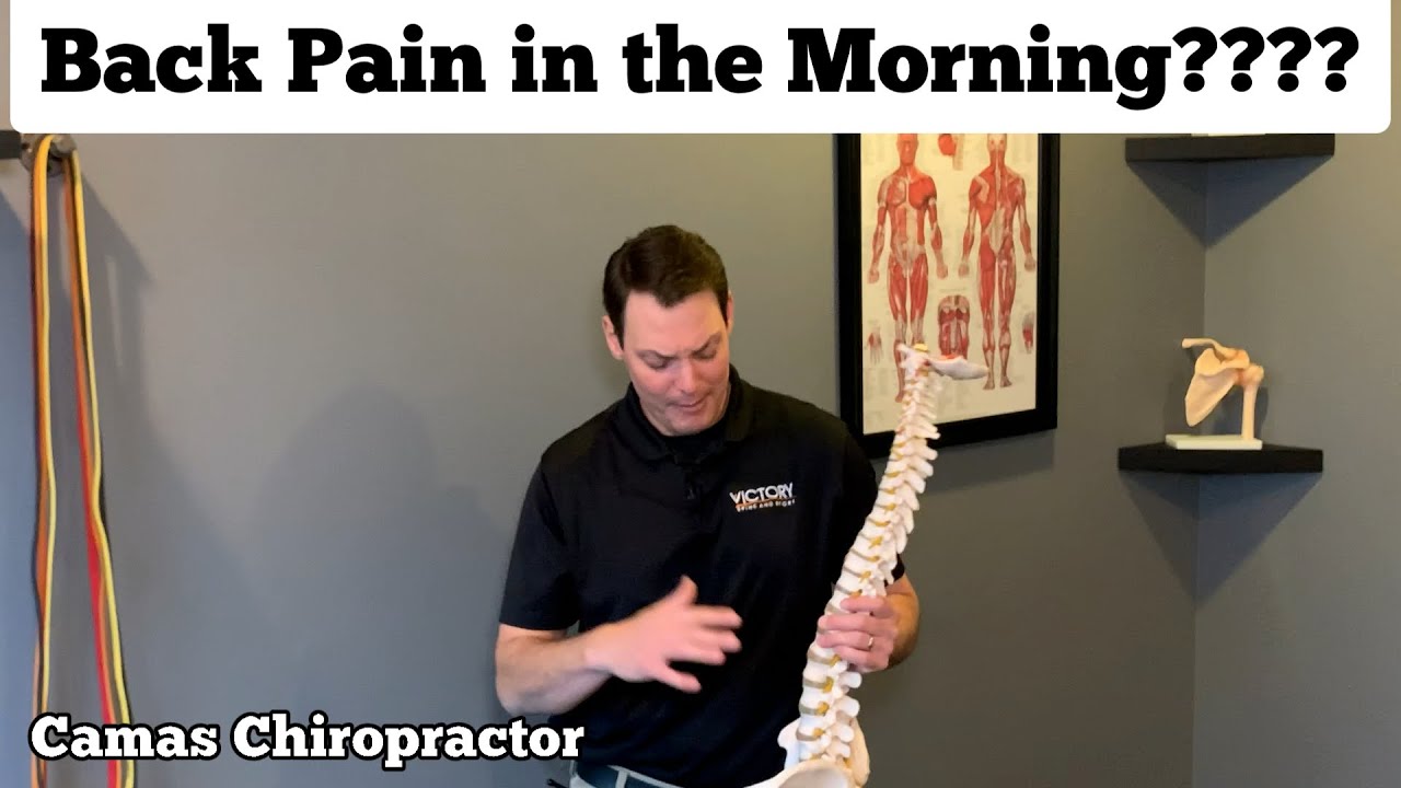 Why is back pain worse in the morning? YouTube