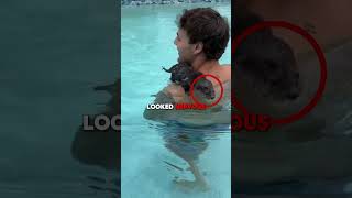 Tiny Otter Learns To Swim For The First Time