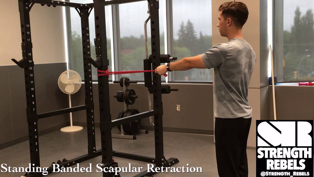 Scapular Protraction And Retraction Exercises